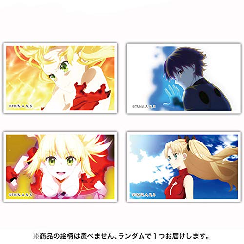 Amazon.co.jp: [シャフト]Fate/EXTRA Last Encore アクリルバッジ